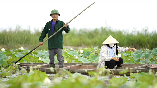 Hằng ng&agrave;y, vợ chồng &ocirc;ng Nguyễn C&ocirc;ng Xu&acirc;n ch&egrave;o xuồng qua lại tr&ecirc;n ph&aacute; Hạc Hải để bảo vệ v&agrave; nu&ocirc;i dưỡng chim trời