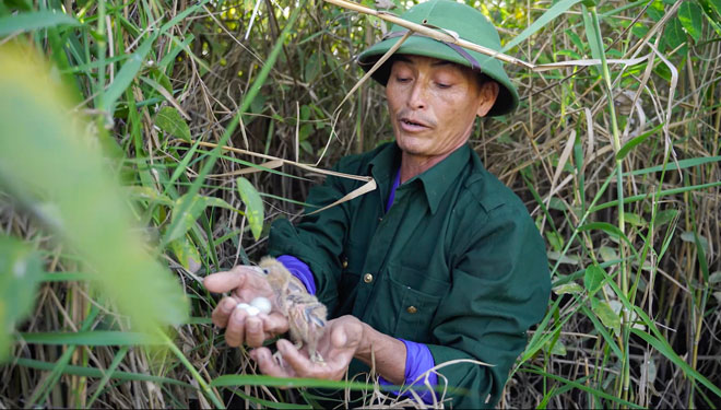 &Ocirc;ng Nguyễn C&ocirc;ng Xu&acirc;n b&ecirc;n một tổ chim ở ph&aacute; Hạc Hải