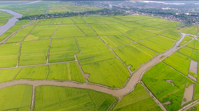 Ph&aacute; Hạc Hải nh&igrave;n từ tr&ecirc;n cao