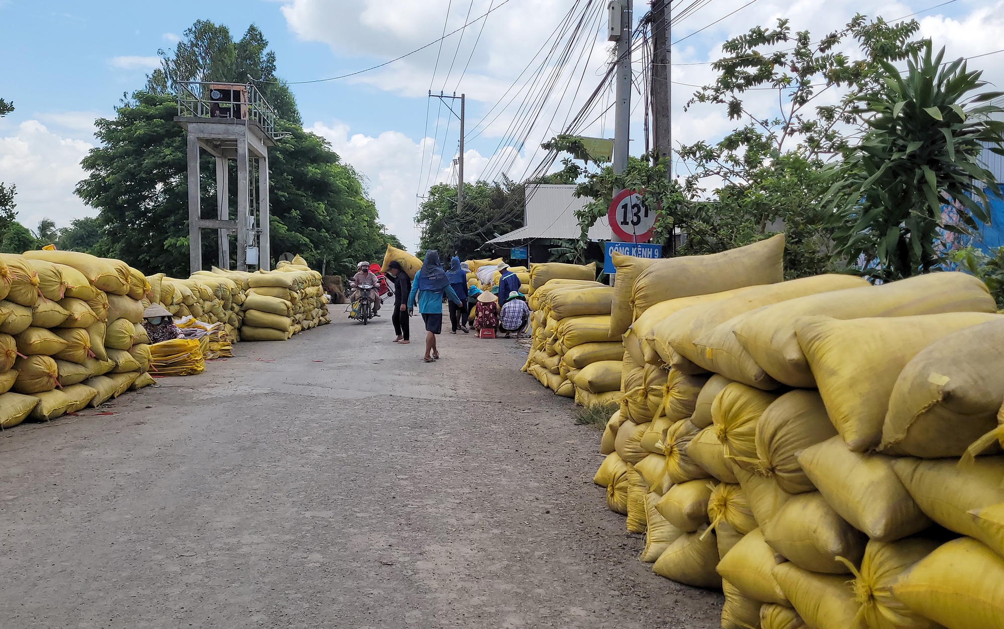 Bội thu ngay từ đầu năm - Ảnh 2.