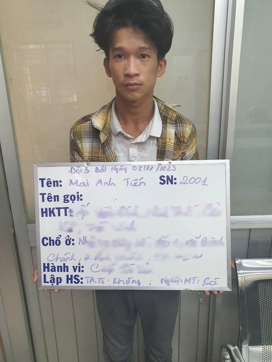 C&ocirc;ng an TP HCM bắt giữ thiếu nữ d&agrave;n cảnh cướp với thủ đoạn kh&oacute; ngờ - Ảnh 1.