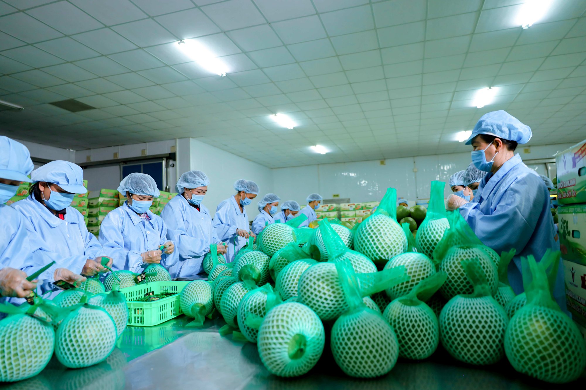 Dự báo “nóng”: Kinh tế Mỹ chậm lại, Trung Quốc vừa mở cửa đã gặp khó - Ảnh 5.