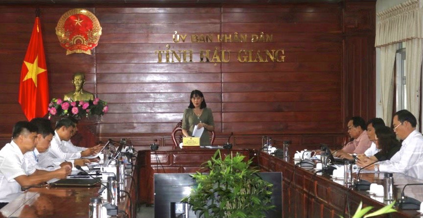 Hậu Giang đánh giá, rút kinh nghiệm về chuyển đổi số