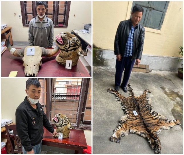 3 người bị bắt cùng 9 bộ da hổ