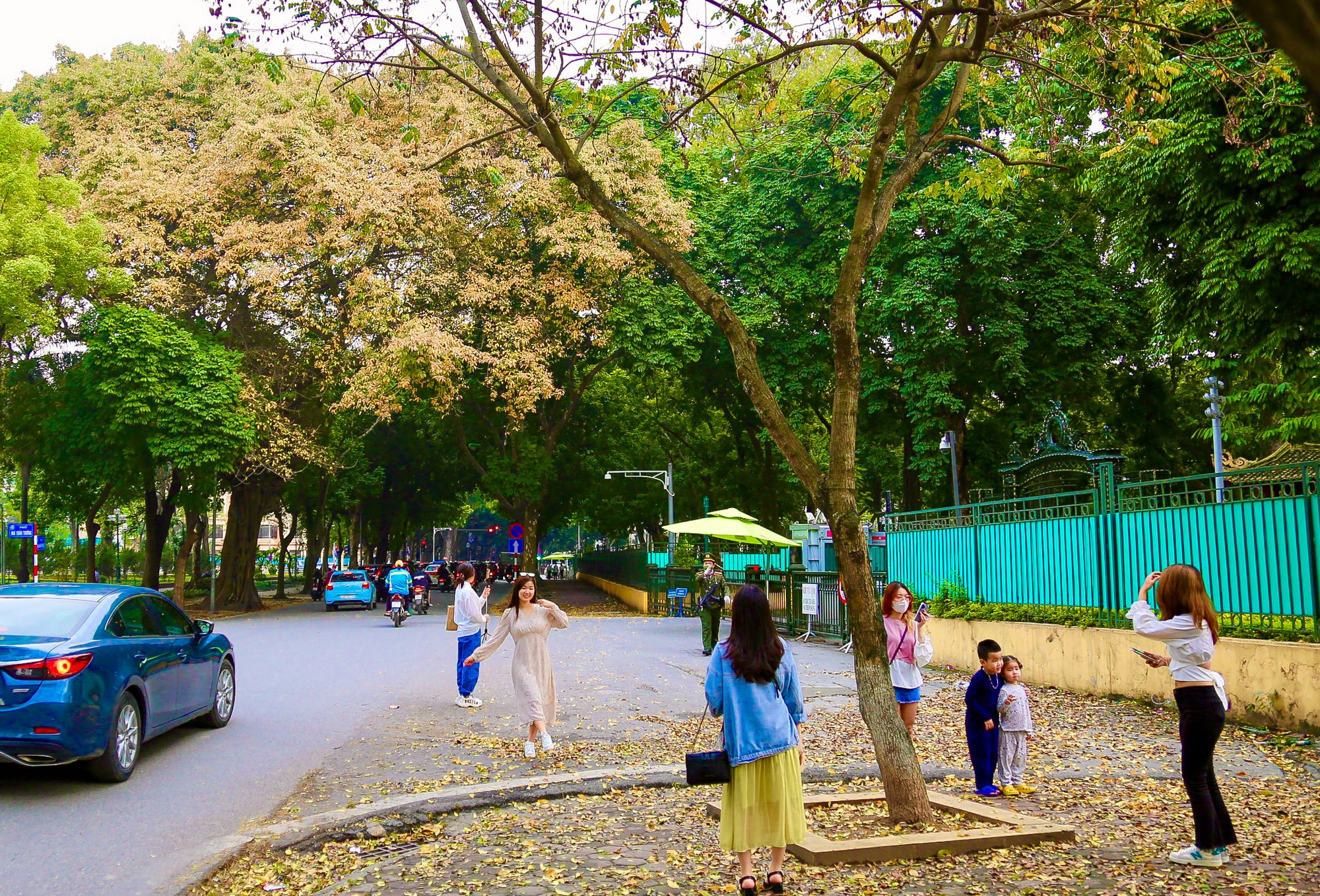 Người d&acirc;n H&agrave; Nội đổ x&ocirc; đi chụp ảnh m&ugrave;a thay l&aacute; - Ảnh 6.