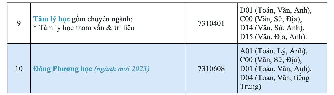 Trường ĐH Quốc tế Sài Gòn mở 2 ngành mới - Ảnh 2.