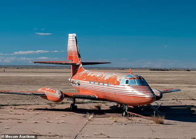 M&aacute;y bay Elvis Presley c&oacute; chủ mới sau hơn 40 năm ở nghĩa địa - Ảnh 1.