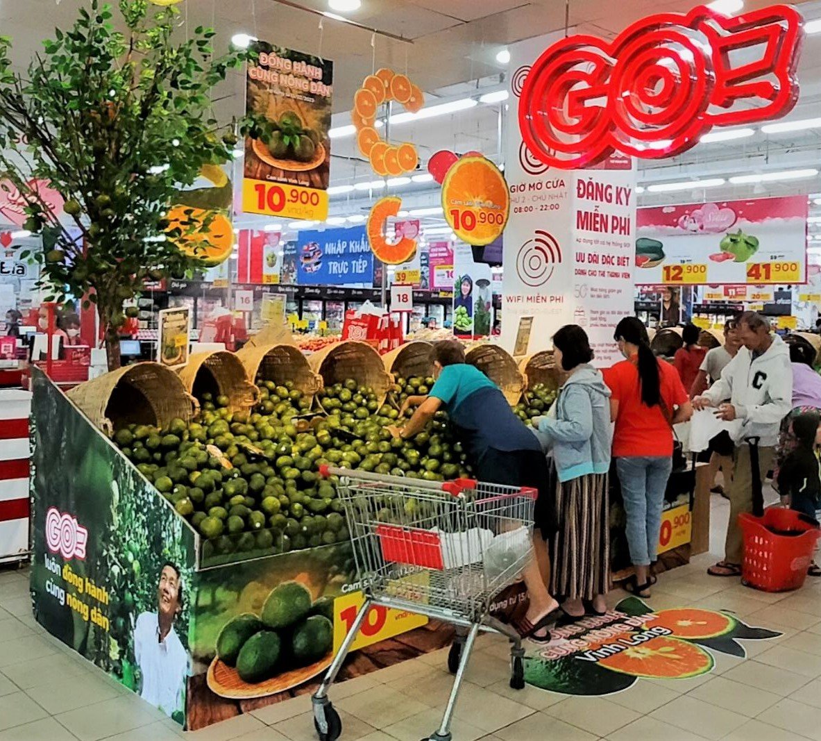 TP HCM: Cam s&agrave;nh rẻ chưa từng c&oacute;, nhiều điểm b&aacute;n h&agrave;ng treo bảng giải cứu - Ảnh 3.