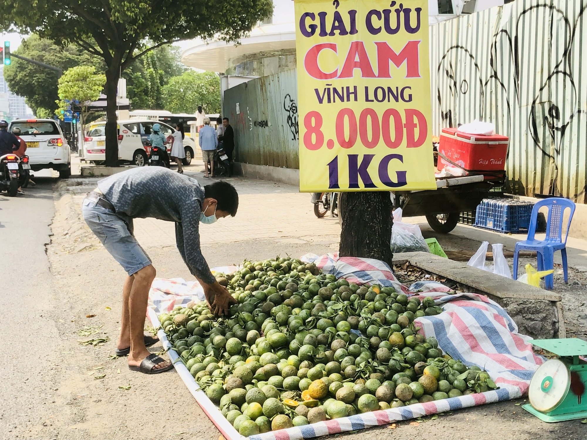 TP HCM: Cam sành rẻ chưa từng có, nhiều điểm bán hàng treo bảng "giải cứu"
