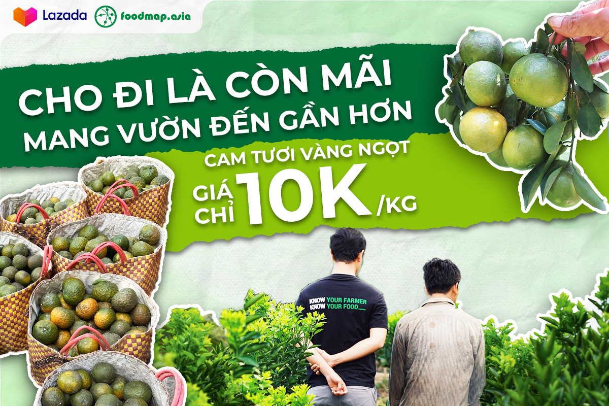 TP HCM: Cam s&agrave;nh rẻ chưa từng c&oacute;, nhiều điểm b&aacute;n h&agrave;ng treo bảng giải cứu - Ảnh 5.