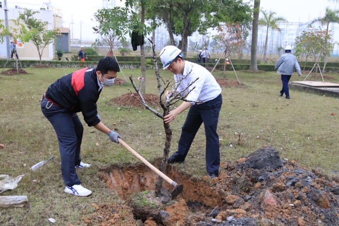 Nhiệt điện M&ocirc;ng Dương hưởng ứng Tết trồng c&acirc;y 2023 - Ảnh 3.