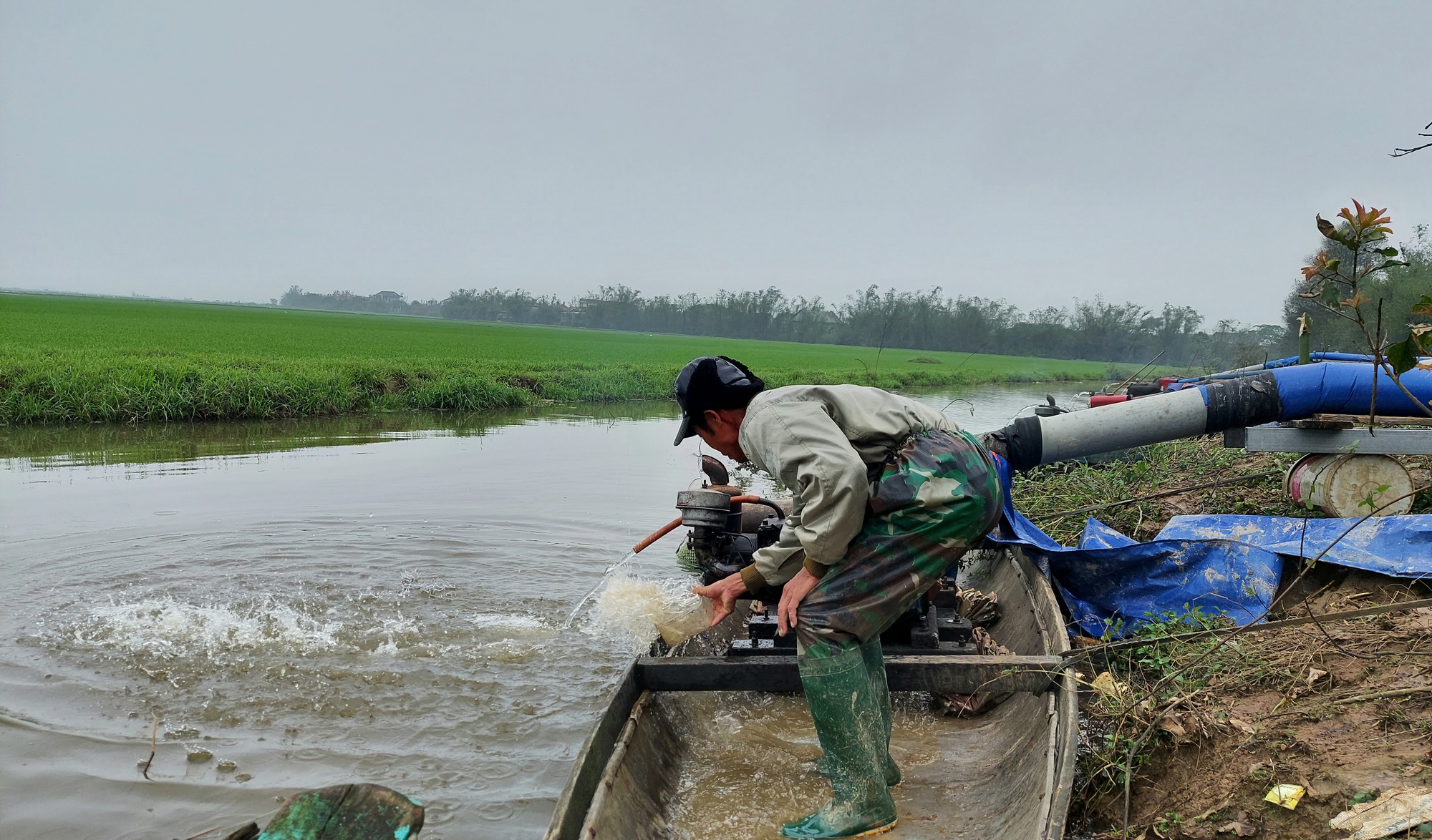 Hàng ngàn hecta lúa ngập úng, người dân chạy đua cứu lúa - Ảnh 4.