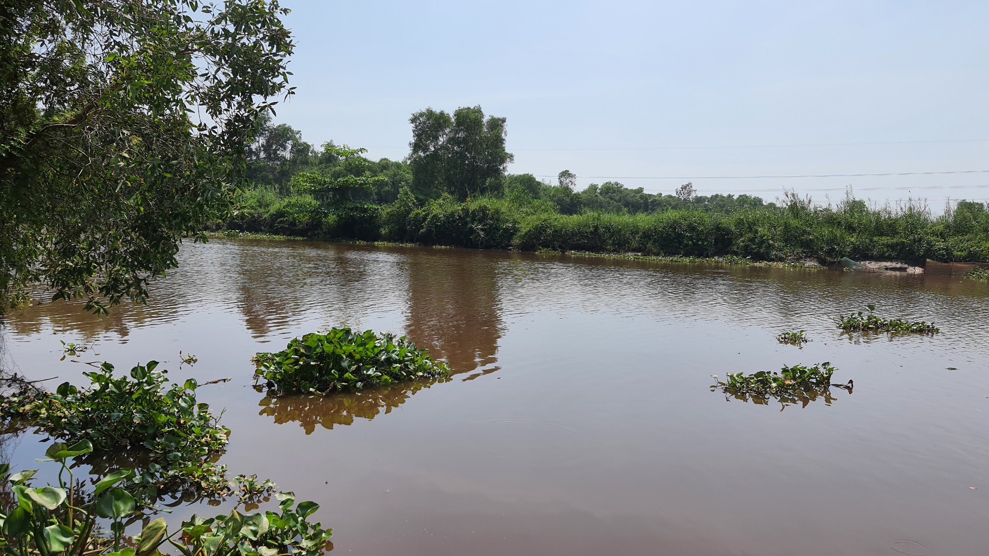Hai mẹ con tử vong thương tâm ở huyện Củ Chi