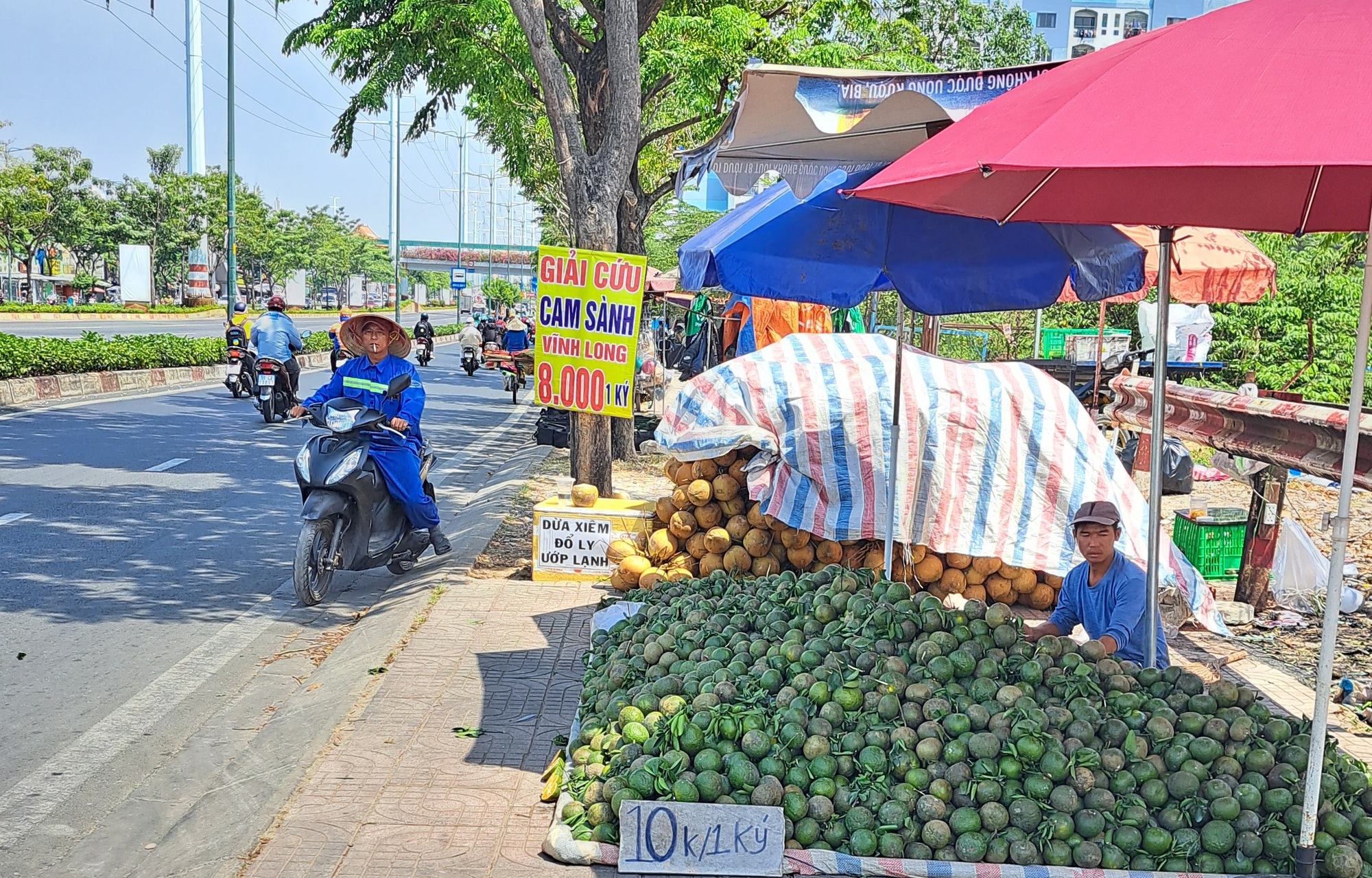 "Giải cứu" cam sành khắp các ngả đường TP HCM