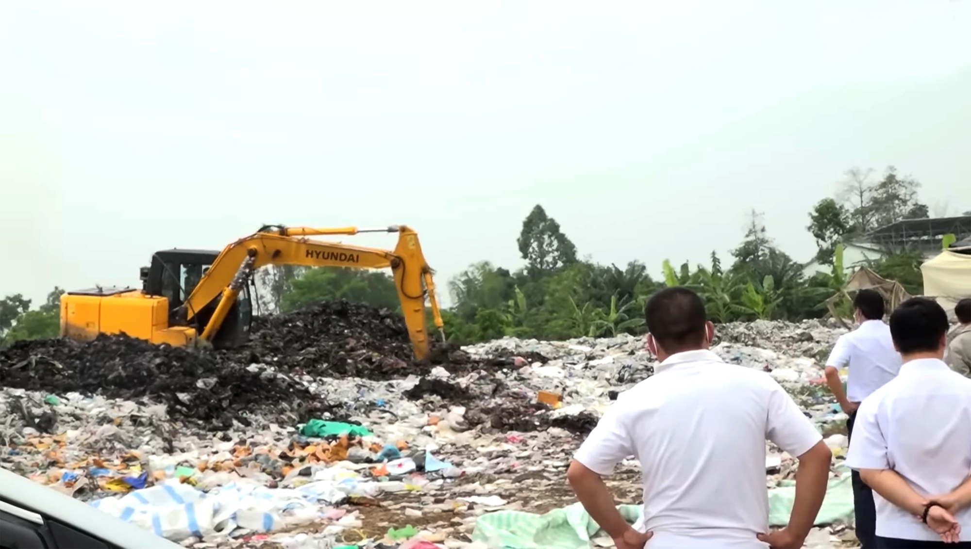 Thu mua m&egrave;o khắp miền T&acirc;y rồi b&aacute;n ra miền Bắc nấu cao - Ảnh 6.