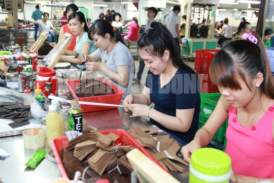 Có nên quy định cứng tuổi nghỉ hưu?