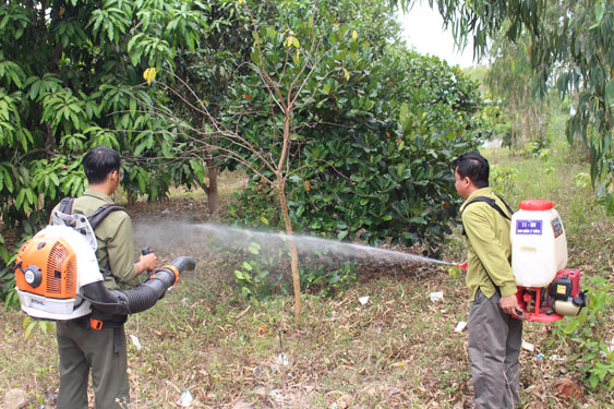 Ngày đêm căng mình bảo vệ rừng