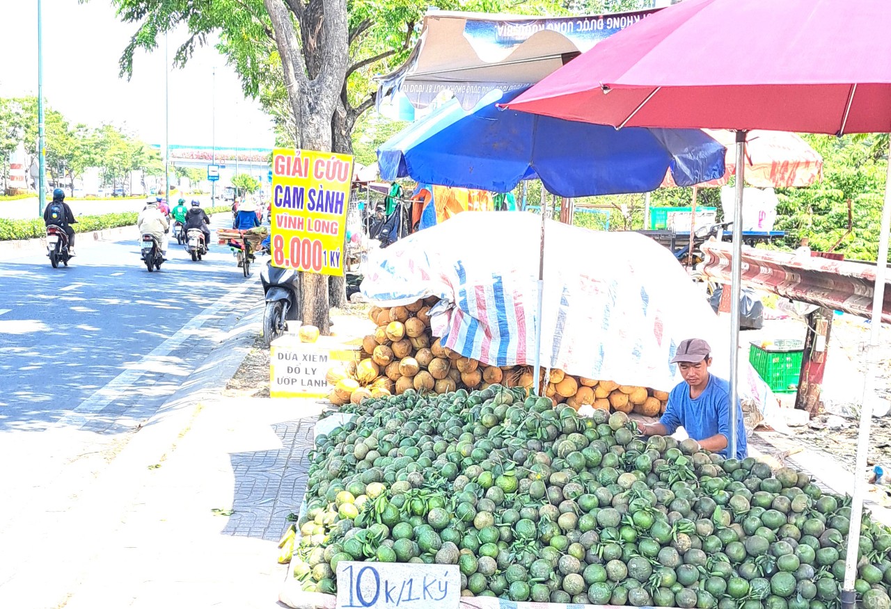 Đàm phán xuất khẩu cam sành sang Trung Quốc