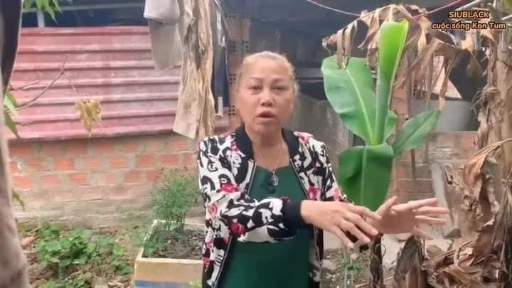 Cuộc sống b&igrave;nh dị của họa mi n&uacute;i rừng Siu Black - Ảnh 1.