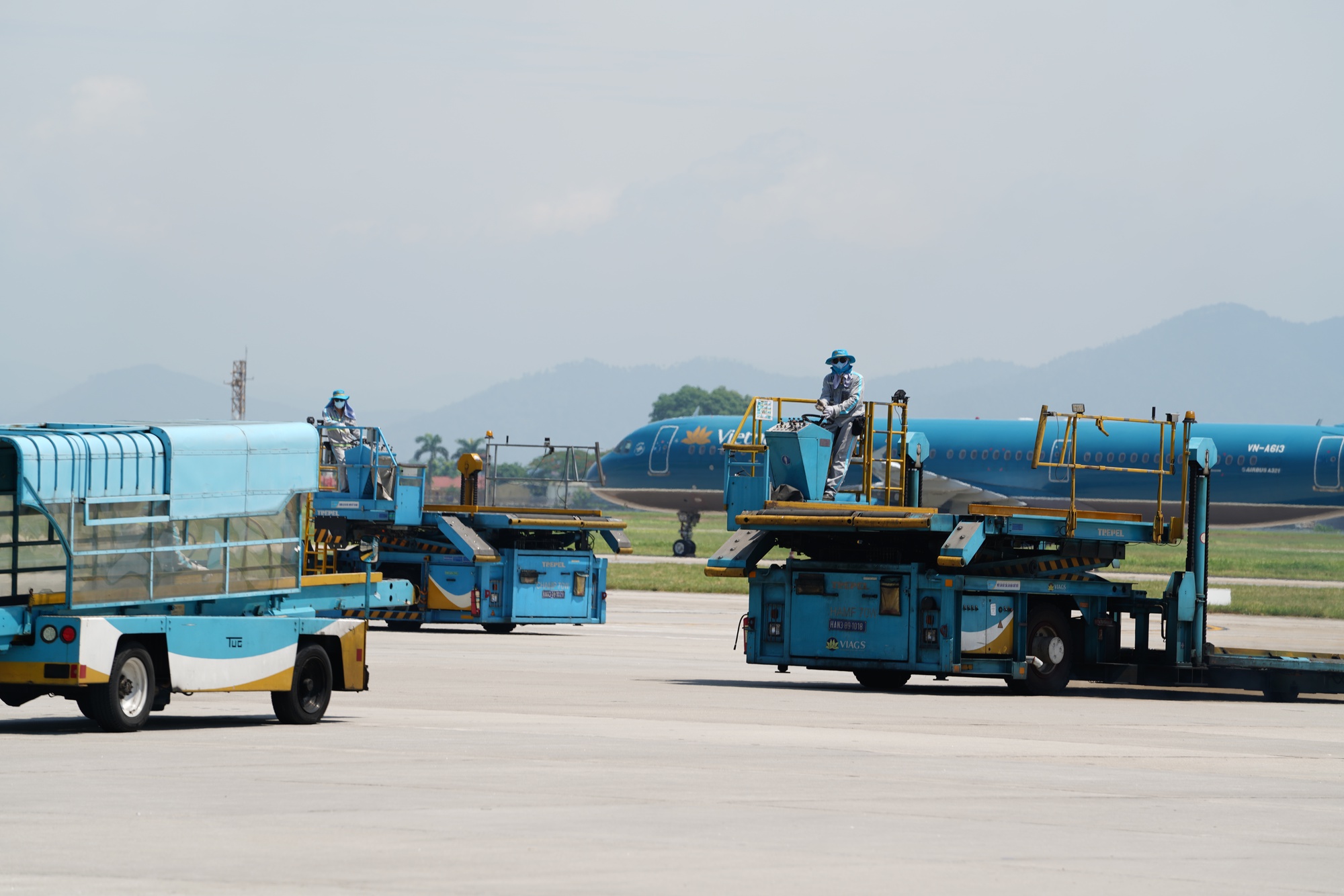 Khỉ vàng bất ngờ xuất hiện tại khu vực hàng rào an ninh sân bay Nội Bài