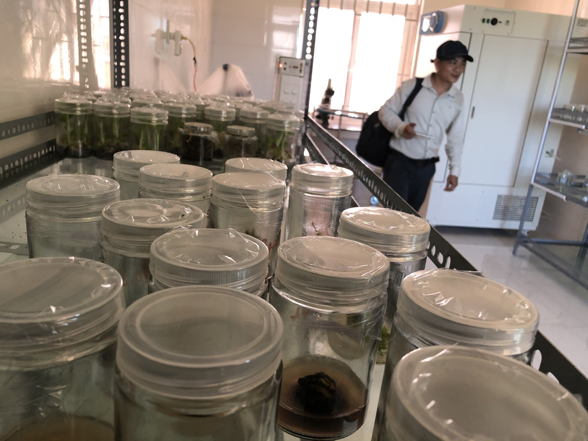 Một giám đốc sở Quảng Ngãi bị tố cáo 8 nội dung