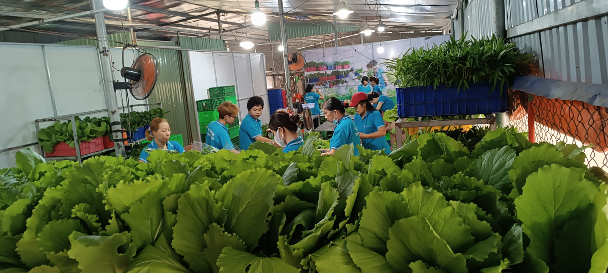 HÓA GIẢI KHÓ KHĂN ĐỂ PHÁT TRIỂN (*): Ưu tiên cải cách thể chế