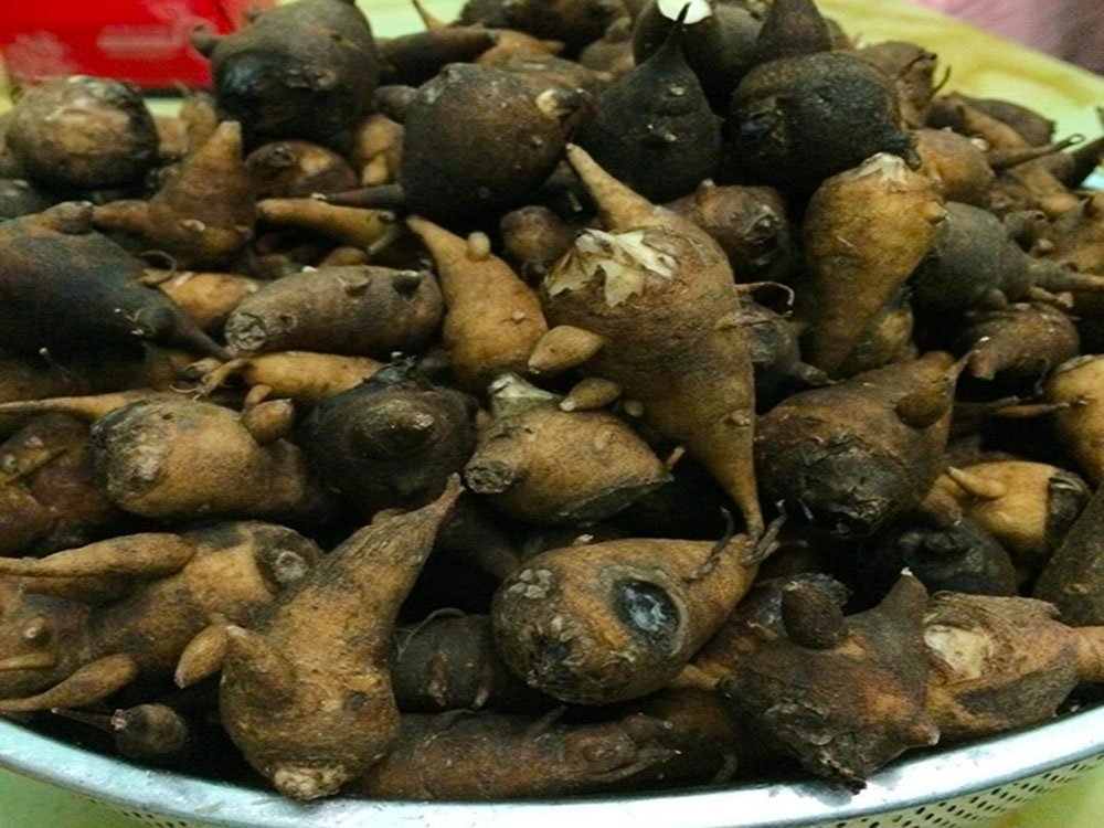 Đôi bạn nguy kịch sau bữa rượu ngâm củ ấu tẩu - Ảnh 2.