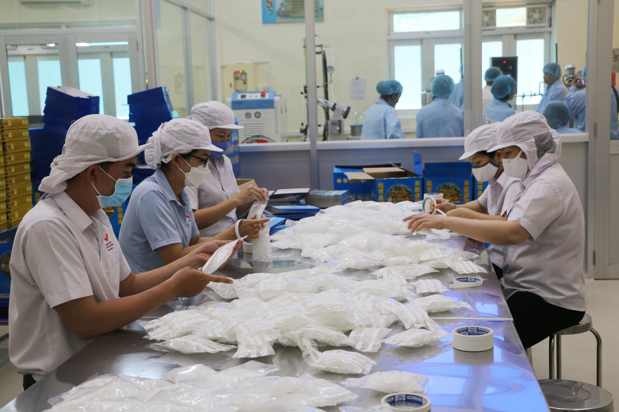 Khánh Hòa: Lao động có kinh nghiệm việc làm chiếm tỉ lệ cao
