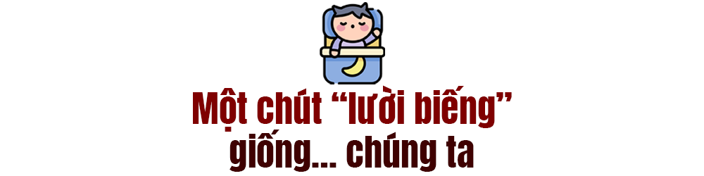 Đất nước khỏe và thọ nhất thế giới: Nhờ ăn, yêu, ngủ trưa và lễ hội - Ảnh 7.