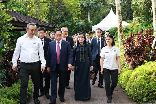 Singapore đặt t&ecirc;n lo&agrave;i hoa lan mới theo t&ecirc;n Thủ tướng Phạm Minh Ch&iacute;nh v&agrave; Phu nh&acirc;n - Ảnh 1.