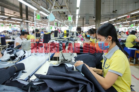 Giảm năm đóng BHXH để hưởng lương hưu: Hãy để người lao động lựa chọn - Ảnh 1.