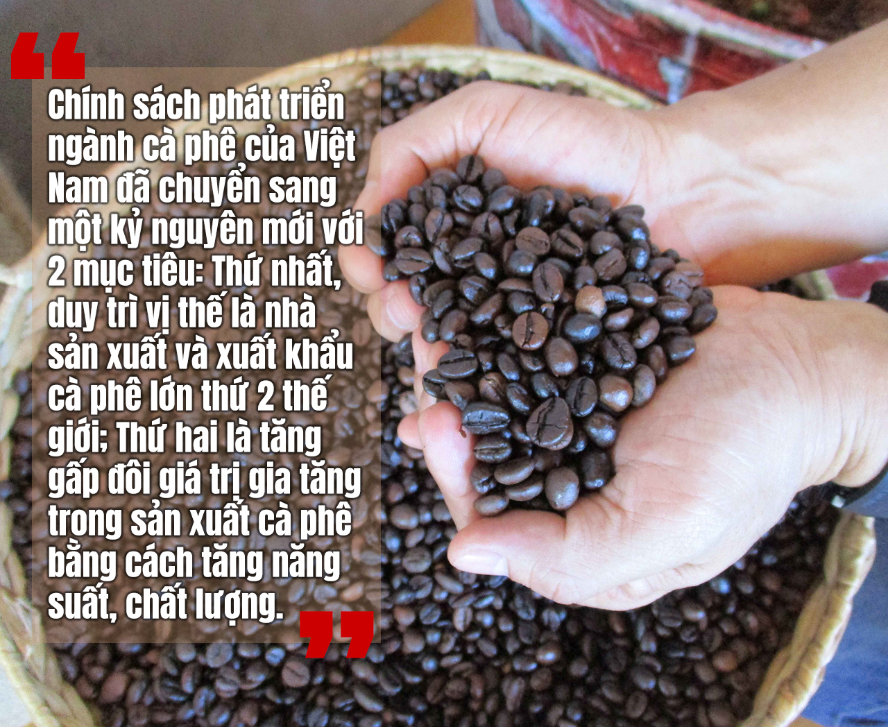 Tôn vinh cà phê Việt - Ảnh 2.