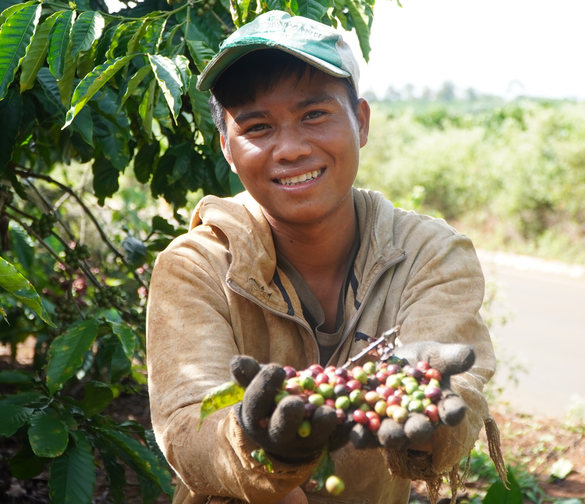 Tôn vinh cà phê Việt - Ảnh 13.