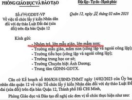 TP HCM: Sự thật về văn bản lấy ý kiến trẻ mẫu giáo, mầm non về dự thảo Luật Đất đai