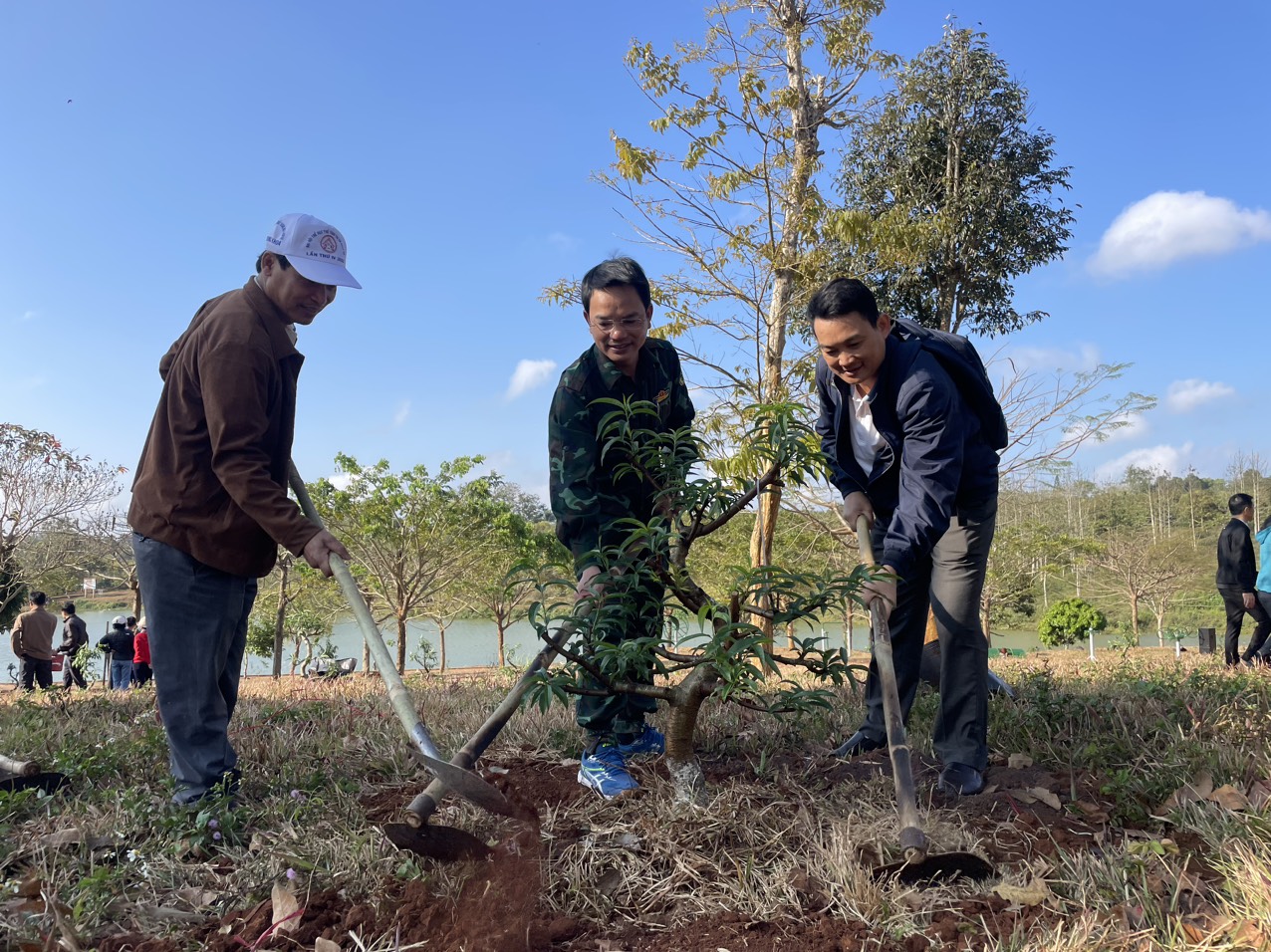 Một thị xã ở Tây Nguyên trồng gần 400 cây hoa đào