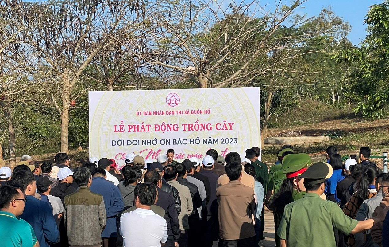 Một thị xã ở Tây Nguyên trồng gần 400 cây hoa đào - Ảnh 1.