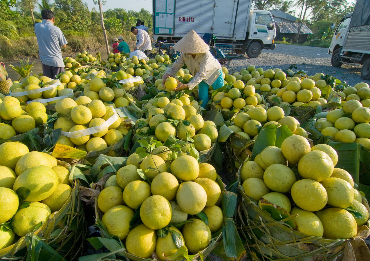 Rõ lợi thế để cùng phát triển