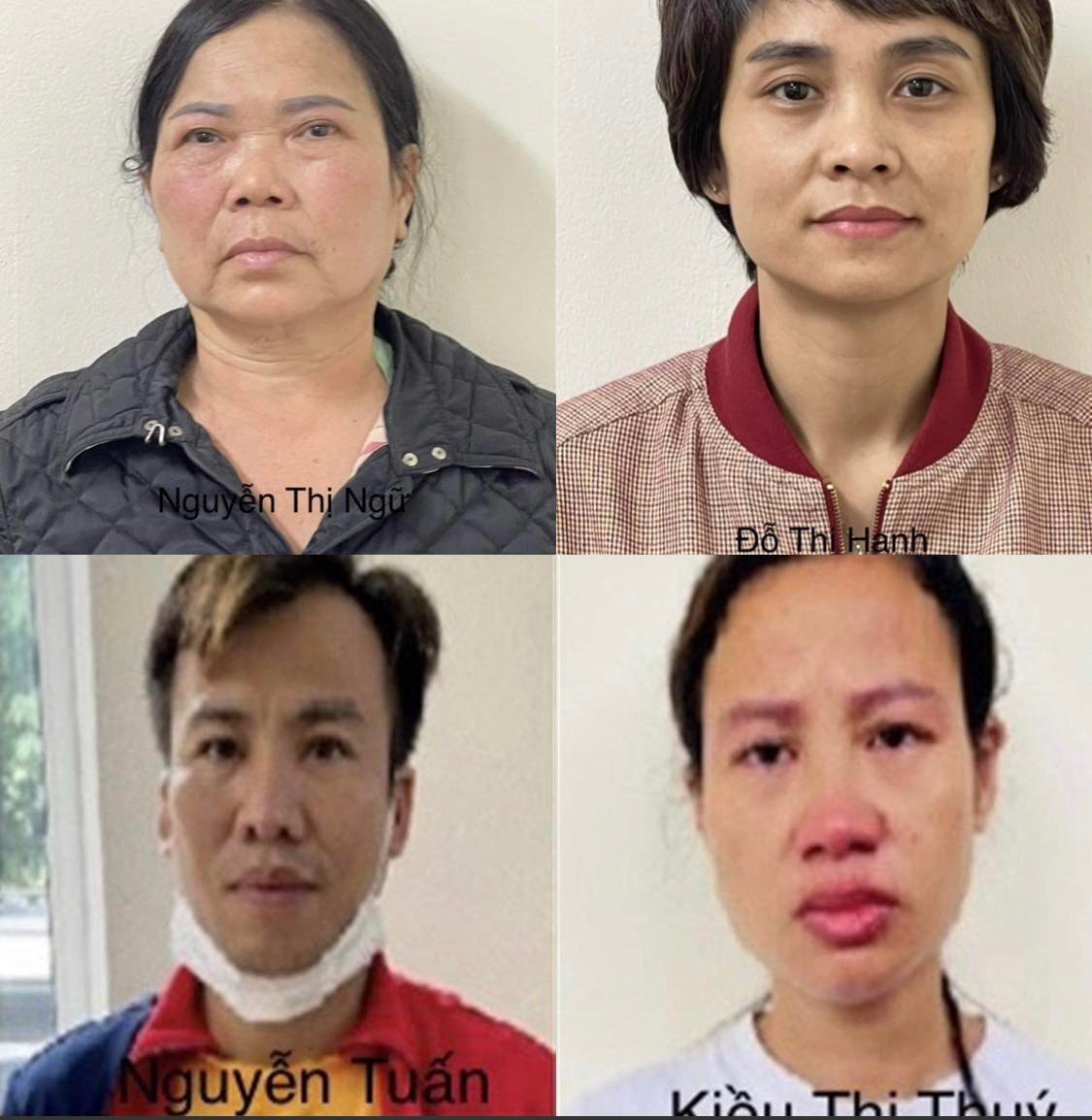 Khởi tố 4 bị can trong vụ buôn lậu cây xanh ở Hà Nội