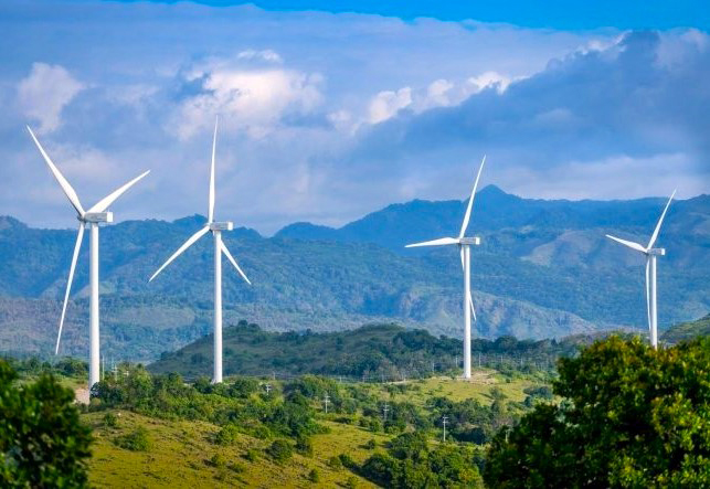Công ty Đại Dương tự ý chiếm hơn 9ha đất, thu lợi hơn 1,1 tỉ đồng