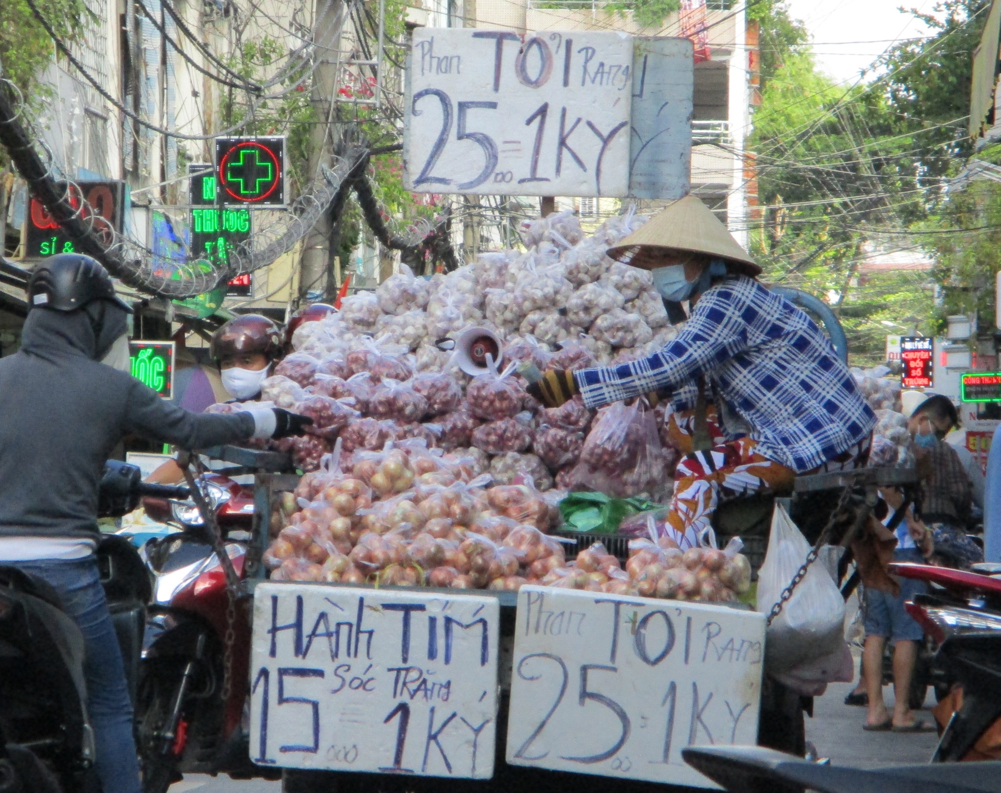 Nông dân Hải Dương trồng hành lãi 270 triệu đồng/ha