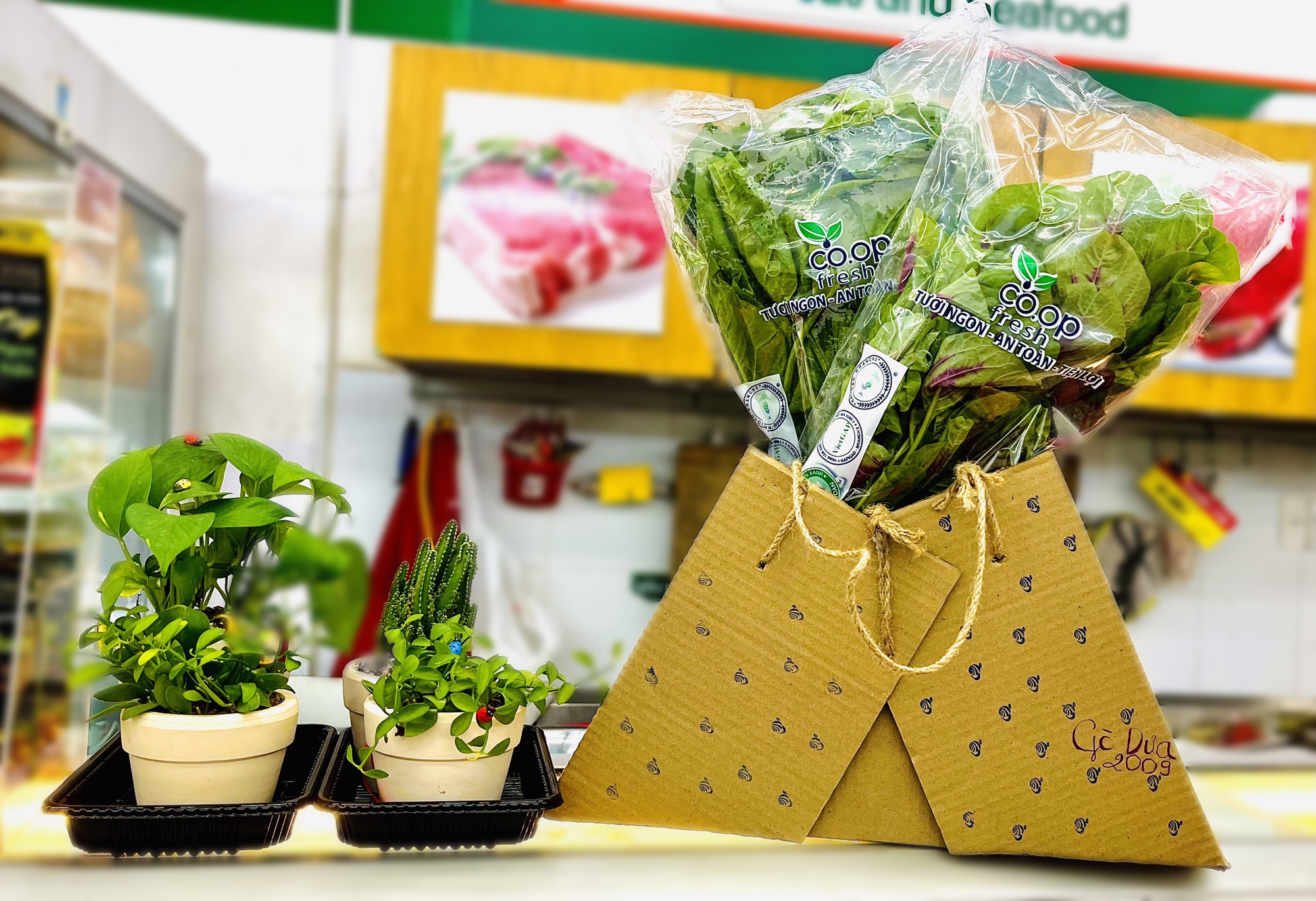 Tặng b&agrave; nội trợ t&uacute;i đi chợ l&agrave;m từ th&ugrave;ng carton, giấy b&aacute;o...  - Ảnh 2.