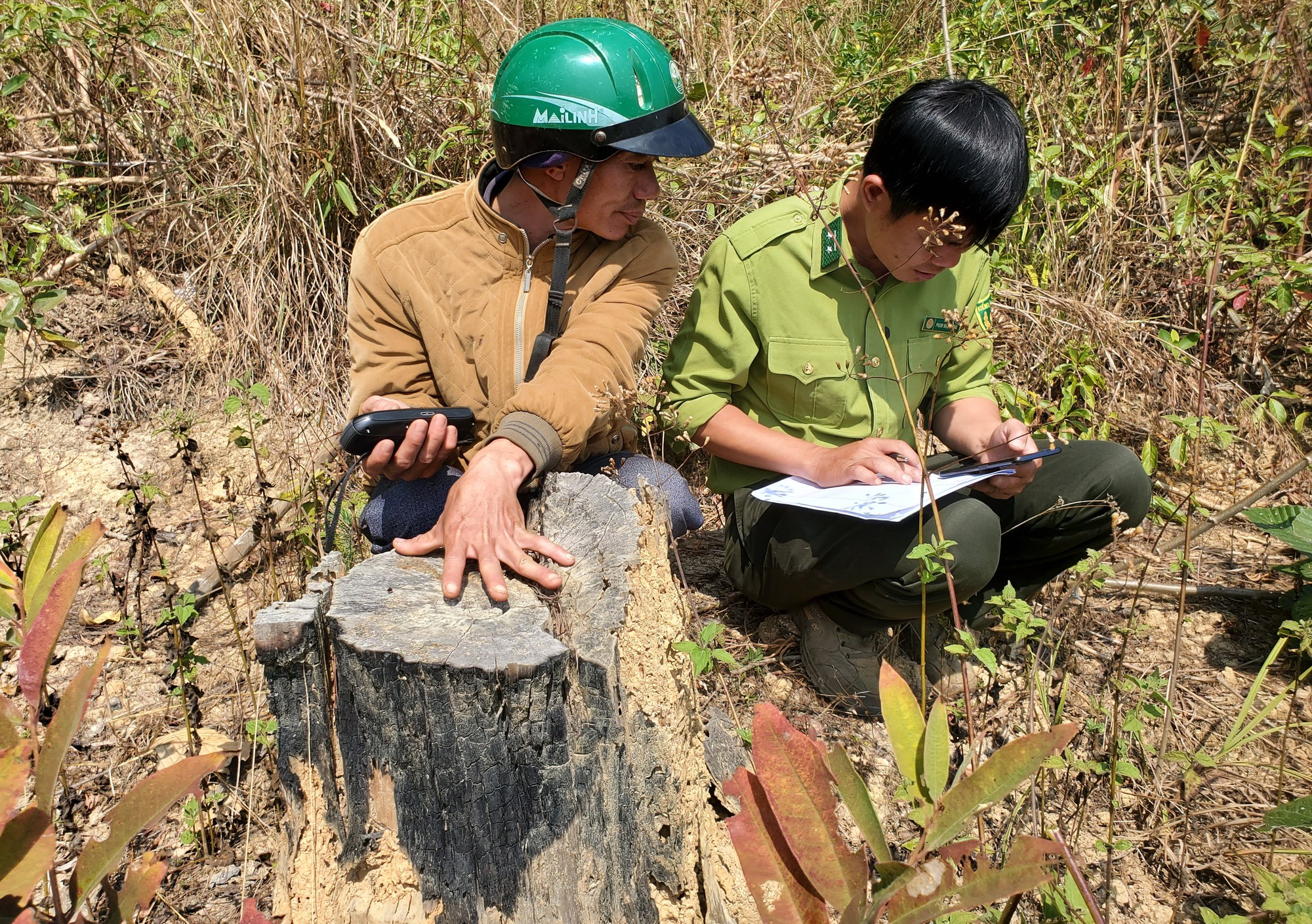 Dự án của Công ty Thác Rồng làm mất rừng, nhiều cán bộ Lạc Dương chịu trách nhiệm ra sao?
