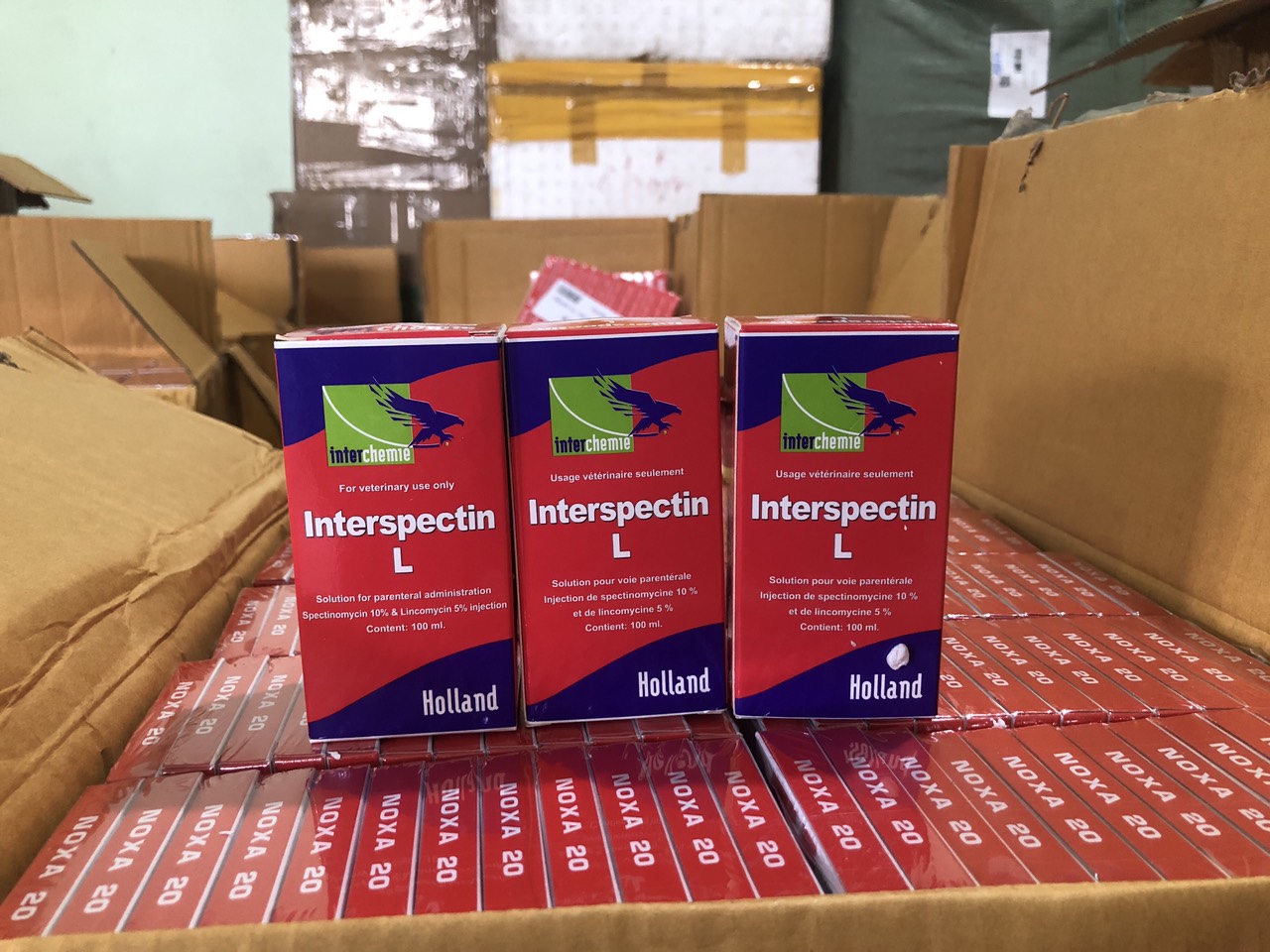 Ph&uacute; Y&ecirc;n: Ph&aacute;t hiện số lượng lớn thuốc đặc trị xương khớp kh&ocirc;ng r&otilde; nguồn gốc - Ảnh 2.