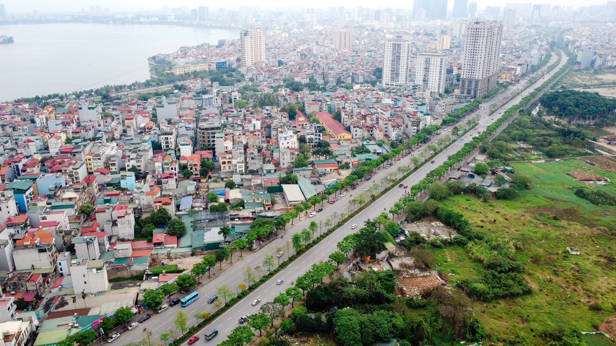 Cây xanh bị nâng khống giá được trồng ở đâu tại Hà Nội? - Ảnh 10.