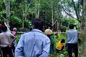 Phát hiện Phó Chủ tịch HĐND xã tử vong trên núi Mào Gà