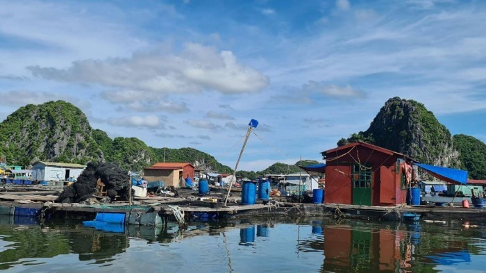 Một chủ tịch huyện liên tiếp bị phê bình vì chậm triển khai công việc, báo cáo sai thực tế