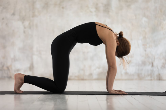 Những động t&aacute;c yoga gi&uacute;p lưng thon, bụng dưới săn chắc - Ảnh 6.