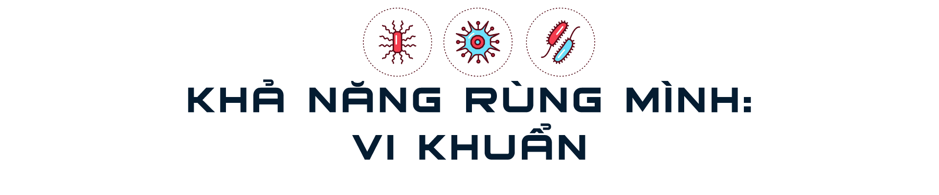 CẢNH BÁO ĐÁNG SỢ VỀ "ĐẠI DỊCH X": "Sát thủ giấu mặt" số 11- Ảnh 5.
