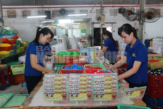 Kh&ocirc;ng n&ecirc;n c&agrave;o bằng tuổi nghỉ hưu - Ảnh 2.