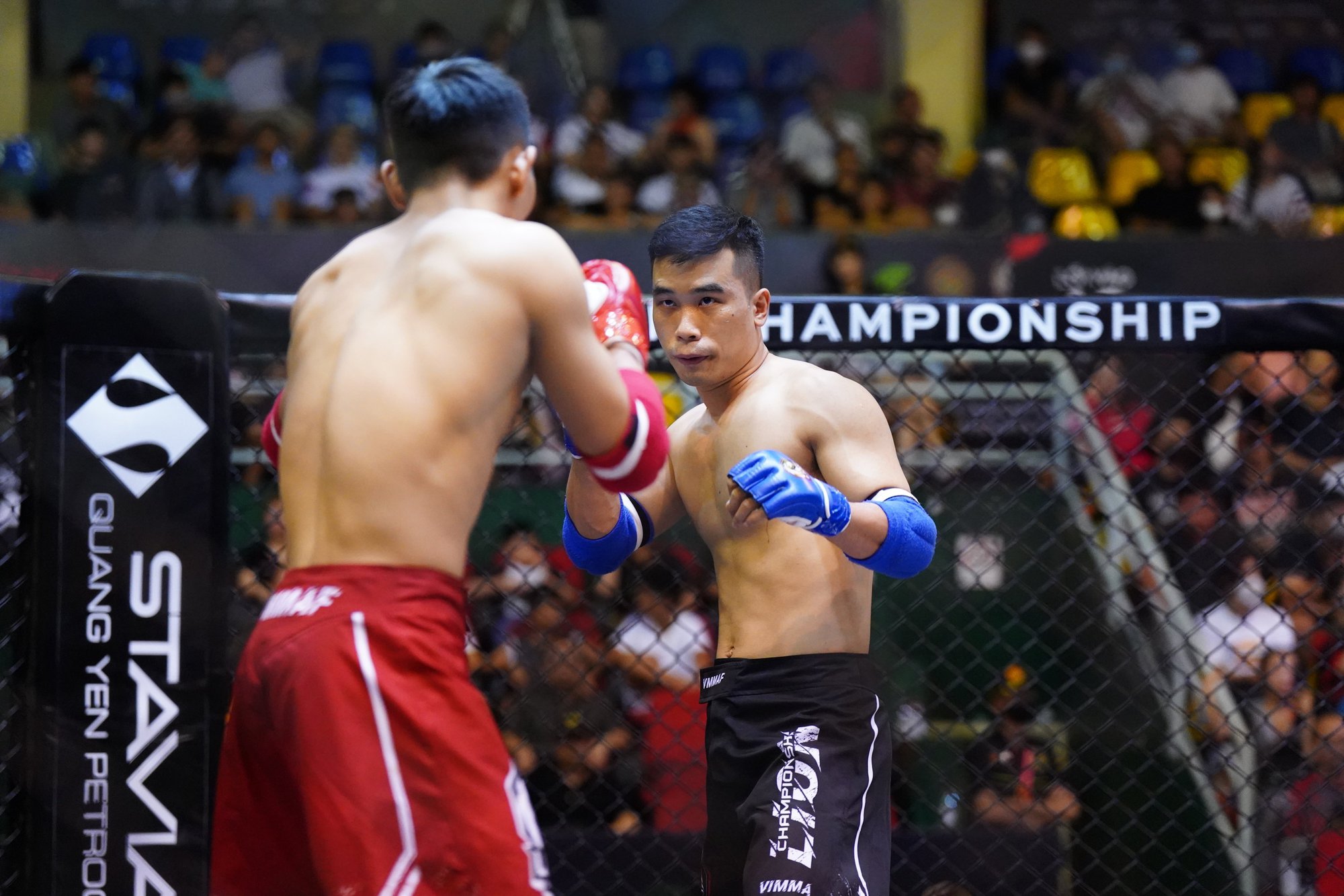 Giải võ thuật MMA - AFC 23: Nam Thắng thế vai "quyền vương" Nguyễn Tiến Long